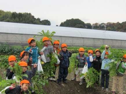 画像(435x326)・拡大画像(640x480)