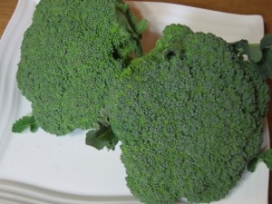 画像(300x225)・拡大画像(640x480)