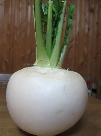 �摜(326x435)�E�g��摜(480x640)