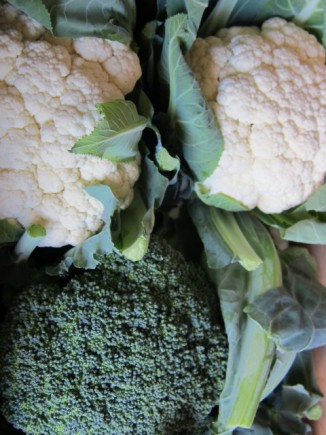 画像(326x435)・拡大画像(480x640)