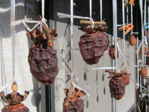 画像(300x225)・拡大画像(640x480)