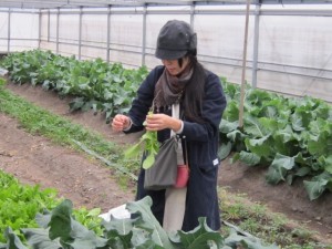 画像(300x225)・拡大画像(640x480)