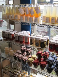 �摜(225x300)�E�g��摜(480x640)