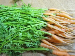 画像(300x225)・拡大画像(640x480)