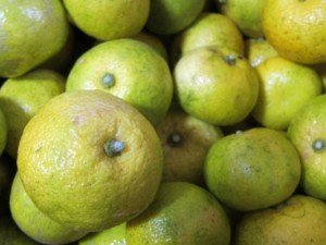 画像(300x225)・拡大画像(640x480)