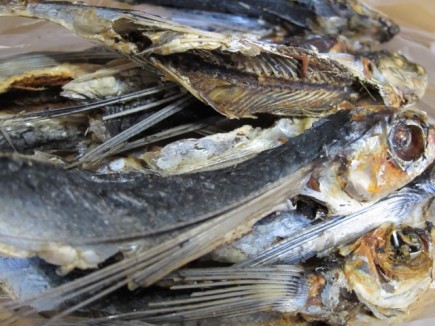 画像(435x326)・拡大画像(640x480)