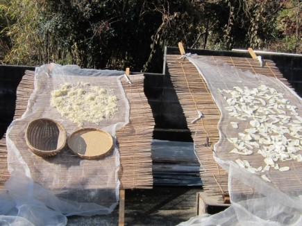 画像(435x326)・拡大画像(640x480)