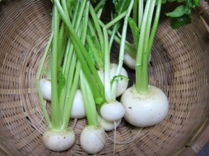 画像(300x225)・拡大画像(640x480)