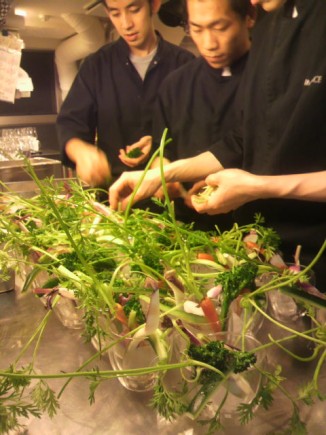 �摜(326x435)�E�g��摜(480x640)