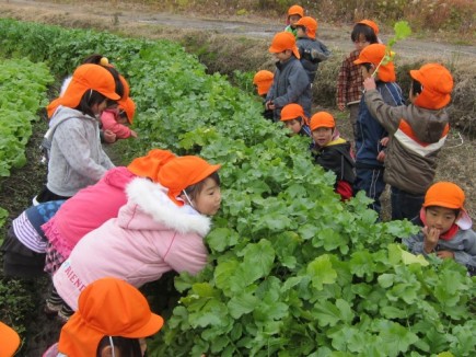 画像(435x326)・拡大画像(640x480)