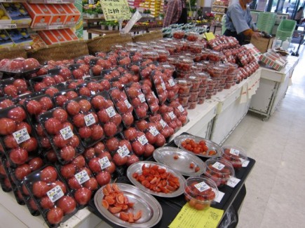 画像(435x326)・拡大画像(640x480)