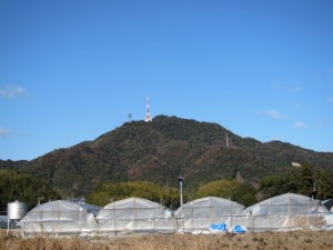 �摜(300x225)�E�g��摜(640x480)