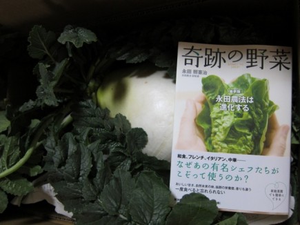 画像(435x326)・拡大画像(640x480)