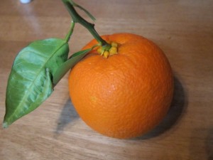 �摜(300x225)�E�g��摜(640x480)