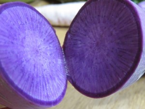 �摜(300x225)�E�g��摜(640x480)