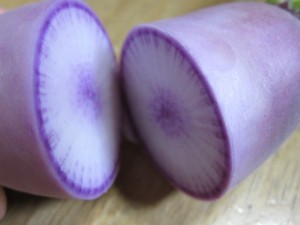 �摜(300x225)�E�g��摜(640x480)