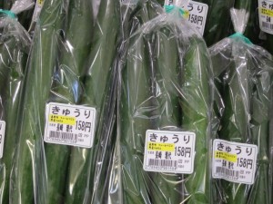 画像(300x225)・拡大画像(640x480)