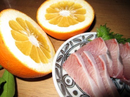 �摜(435x326)�E�g��摜(640x480)