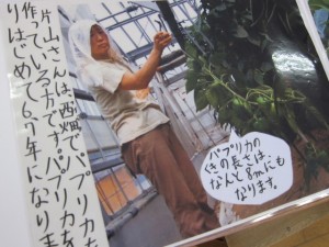 �摜(300x225)�E�g��摜(640x480)