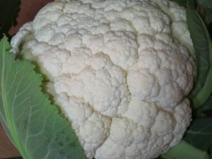 �摜(300x225)�E�g��摜(640x480)