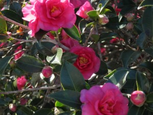 �摜(300x225)�E�g��摜(640x480)