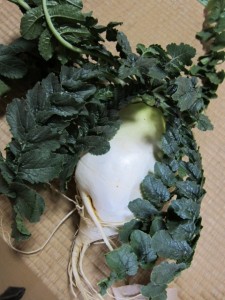 画像(225x300)・拡大画像(480x640)