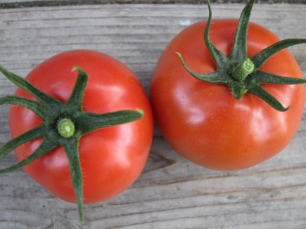 �摜(435x326)�E�g��摜(640x480)