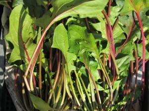 �摜(300x225)�E�g��摜(640x480)