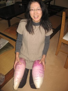 �摜(225x300)�E�g��摜(255x340)