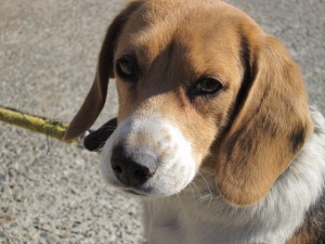 �摜(300x225)�E�g��摜(640x480)