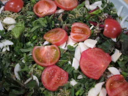 �摜(435x326)�E�g��摜(640x480)