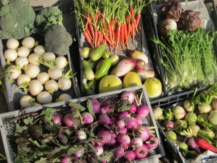 �摜(435x326)�E�g��摜(640x480)