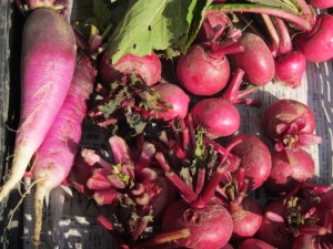 �摜(300x225)�E�g��摜(640x480)