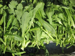 �摜(300x225)�E�g��摜(640x480)