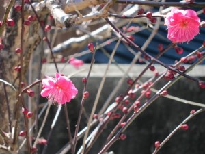 �摜(300x225)�E�g��摜(640x480)