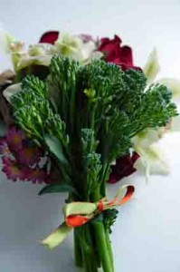 �摜(199x300)�E�g��摜(283x426)