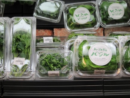 �摜(435x326)�E�g��摜(640x480)