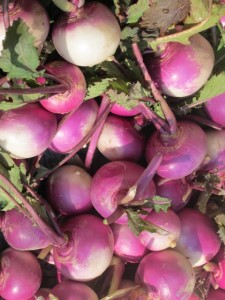 �摜(225x300)�E�g��摜(480x640)