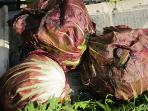 �摜(300x225)�E�g��摜(640x480)