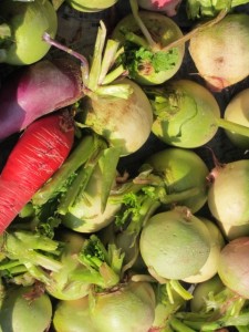 �摜(225x300)�E�g��摜(480x640)