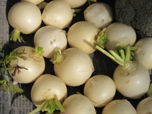 �摜(300x225)�E�g��摜(640x480)