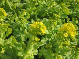 �摜(300x225)�E�g��摜(640x480)