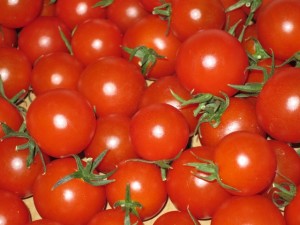 画像(300x225)・拡大画像(640x480)