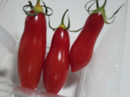 �摜(435x326)�E�g��摜(640x480)