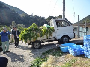 �摜(300x225)�E�g��摜(640x480)