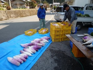 �摜(300x225)�E�g��摜(640x480)