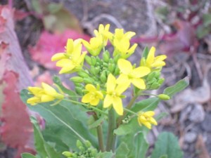 �摜(300x225)�E�g��摜(640x480)