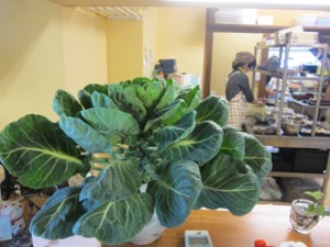 �摜(300x225)�E�g��摜(340x255)