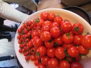 �摜(300x225)�E�g��摜(640x480)