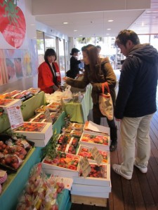 �摜(225x300)�E�g��摜(480x640)